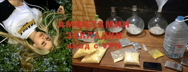 мет Алексин