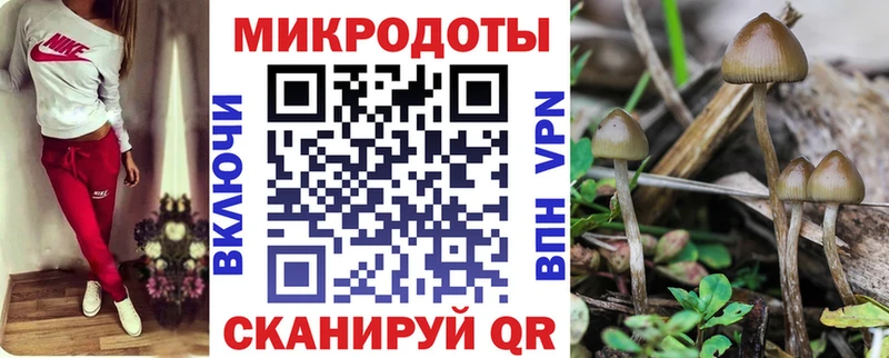 Псилоцибиновые грибы GOLDEN TEACHER Воткинск